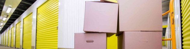 Responsible Disposal and Recycling